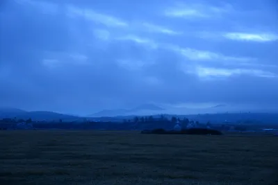 DSC_1095 (Large).JPG